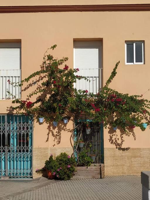 Apartamento Las Canastas Cadiz Centro מראה חיצוני תמונה