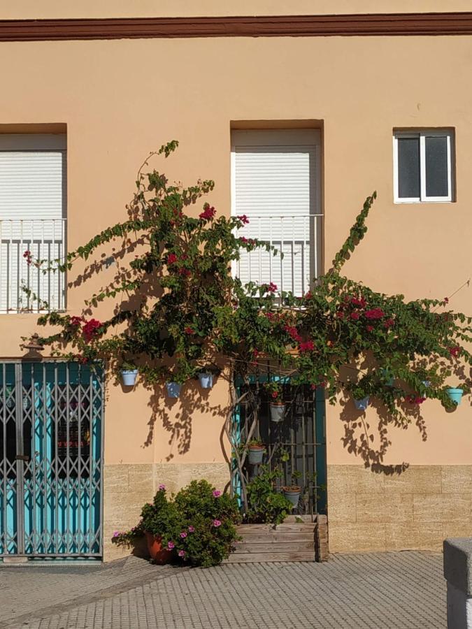 Apartamento Las Canastas Cadiz Centro מראה חיצוני תמונה